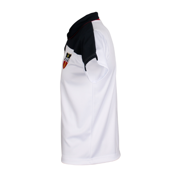 CAE PLAYERA POLO